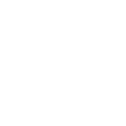 PAMS_paypal_logo