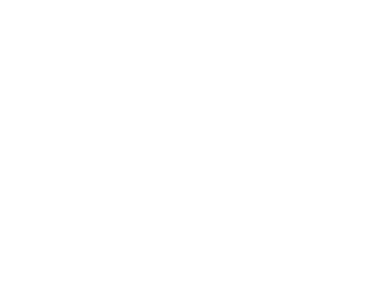 PAMS Foundation logo